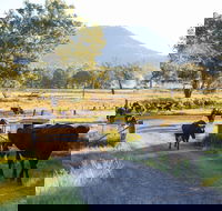 Tommerups Dairy Farmstay - Airlie Beach Holiday