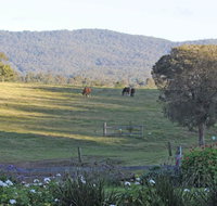 Wallaby Cottage - Airlie Beach Holiday