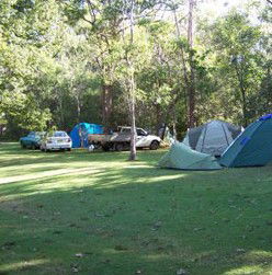 Broadwater Stopover Tourist Park - Airlie Beach Holiday 4