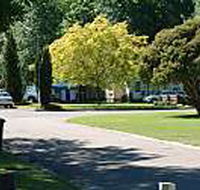 Mitchell Gardens Holiday Park - Airlie Beach Holiday