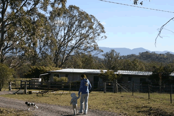Bumblebrook Farm Motel - Airlie Beach Holiday
