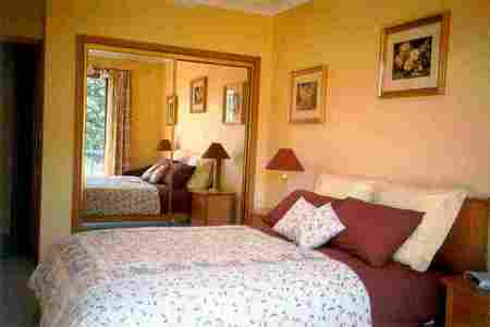 Mast Gully Gardens - Airlie Beach Holiday 1