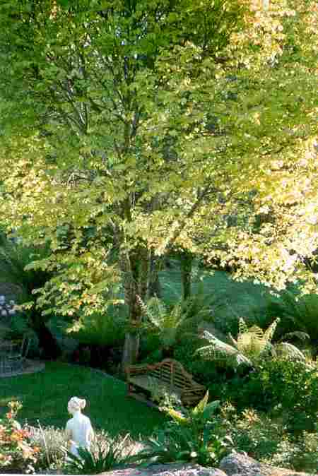 Mast Gully Gardens - Airlie Beach Holiday 4