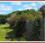 Orchard Cottage - Airlie Beach Holiday
