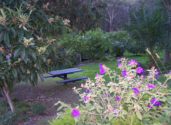 Sunway Farm B And B And Tours - Airlie Beach Holiday 2