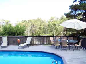 Sunway Farm B And B And Tours - Airlie Beach Holiday 3