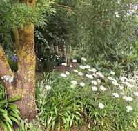 Springbank Bed and Breakfast - Airlie Beach Holiday