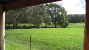 The Glen Farm Cottages - Airlie Beach Holiday 2