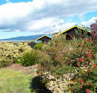Black Cockatoo Cottages - Airlie Beach Holiday