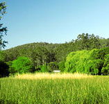 Waterholes Guest House - Airlie Beach Holiday