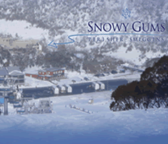 Snowy Gums Chalet - Airlie Beach Holiday