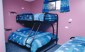Homelea Accommodation Apartments - Airlie Beach Holiday