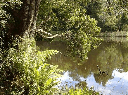 South Mount Cameron TAS Airlie Beach Holiday