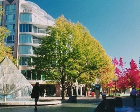 Canberra Wide Apartments - City Plaza - Airlie Beach Holiday 2