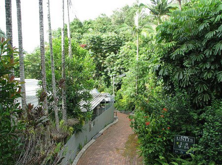 Tree Tops Lodge Cairns - Airlie Beach Holiday 2