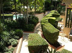 Crest Apartments Byron Bay - Airlie Beach Holiday 3