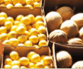 Brisbane Markets - Airlie Beach Holiday