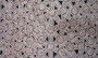 Aranda Contemporary - Airlie Beach Holiday 1