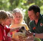 Cleland Wildlife Park - Airlie Beach Holiday