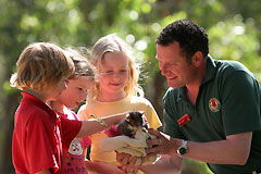 Cleland Wildlife Park - Airlie Beach Holiday 0