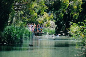 Cleland Wildlife Park - Airlie Beach Holiday 1