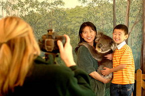 Cleland Wildlife Park - Airlie Beach Holiday 2