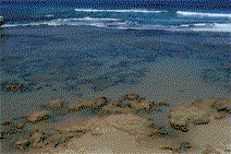 Braddon ACT Airlie Beach Holiday