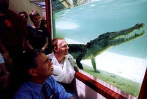 Alice Springs Reptile Centre - Airlie Beach Holiday 1