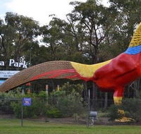 Gumbuya Park - Airlie Beach Holiday