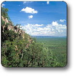 Kakadu National Park - Airlie Beach Holiday 2