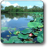 Kakadu National Park - Airlie Beach Holiday 3