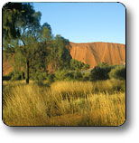 Yuendumu NT Airlie Beach Holiday
