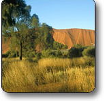 Uluru - Kata Tjuta National Park - Airlie Beach Holiday