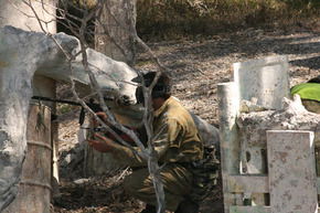 Action Paintball Games - Sydney - Airlie Beach Holiday 3