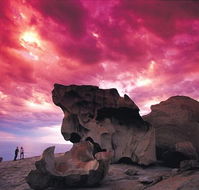 Kangaroo Island Adventure Tour 2 day/1 night - Airlie Beach Holiday