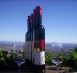 Mount Tamborine Winery  Homestead - Airlie Beach Holiday