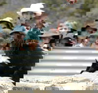 Tasmania Zoo - Airlie Beach Holiday