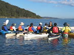 Sydney Harbour Kayaks - Airlie Beach Holiday 2