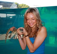 Crocosaurus Cove - Airlie Beach Holiday