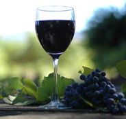 Lion Mill Vineyards - Airlie Beach Holiday