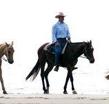 Ride the Beach - Airlie Beach Holiday