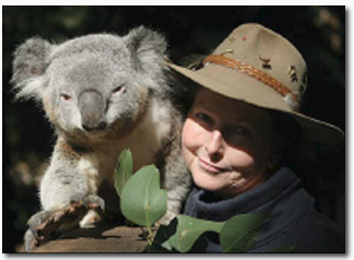 Koala Park Sanctuary - Airlie Beach Holiday 2