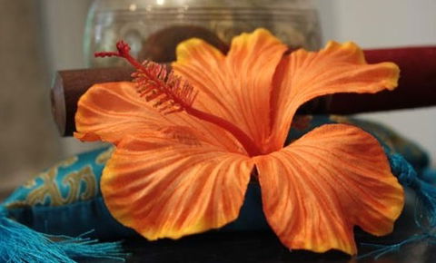 Annasha Day Spa Retreat - Airlie Beach Holiday 5