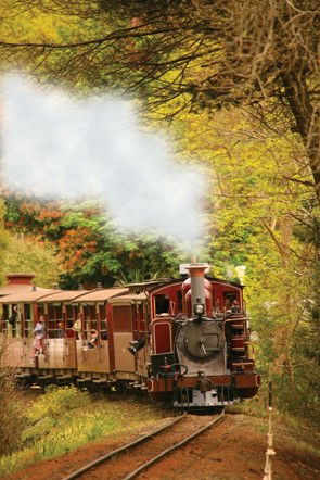 Puffing Billy - Airlie Beach Holiday 5
