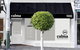 Calma Spa & Skin Clinic - thumb 0