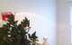 Calma Spa & Skin Clinic - thumb 1