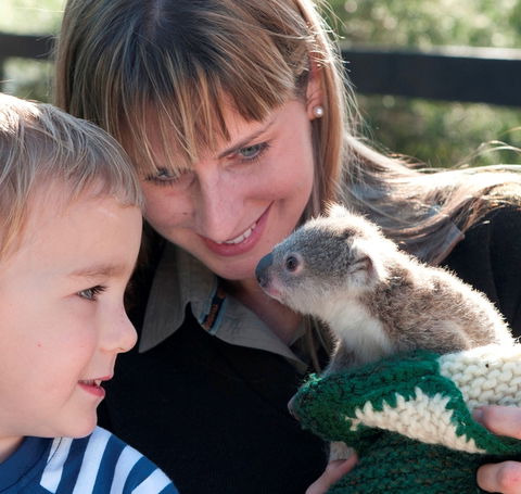 Australian Reptile Park - Airlie Beach Holiday 1