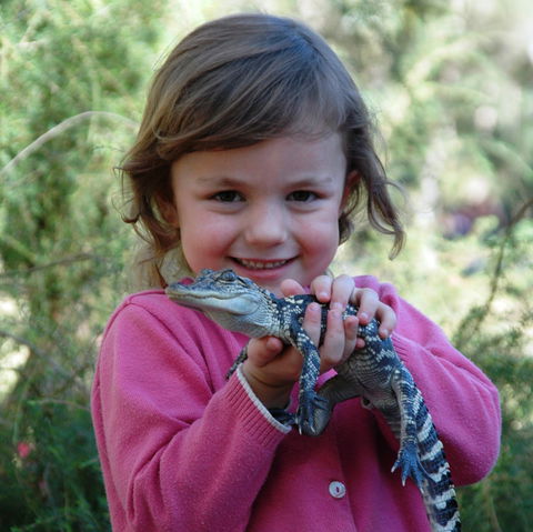 Australian Reptile Park - Airlie Beach Holiday 2