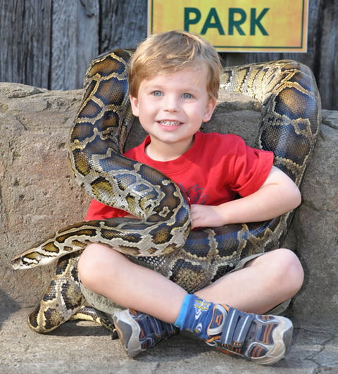 Australian Reptile Park - Airlie Beach Holiday 3