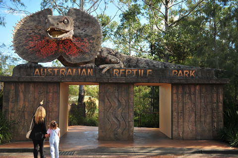 Australian Reptile Park - Airlie Beach Holiday 5